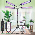 USB LED Plant Lamp Full Spectrum Phyto lamp